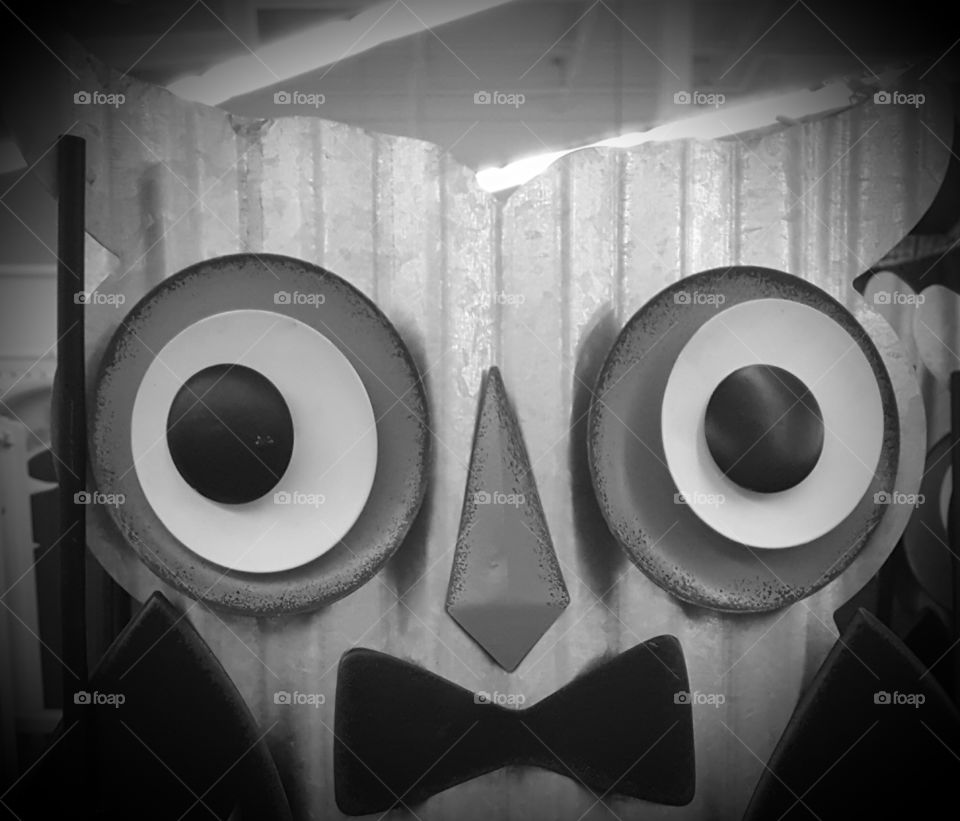 owl grayscale