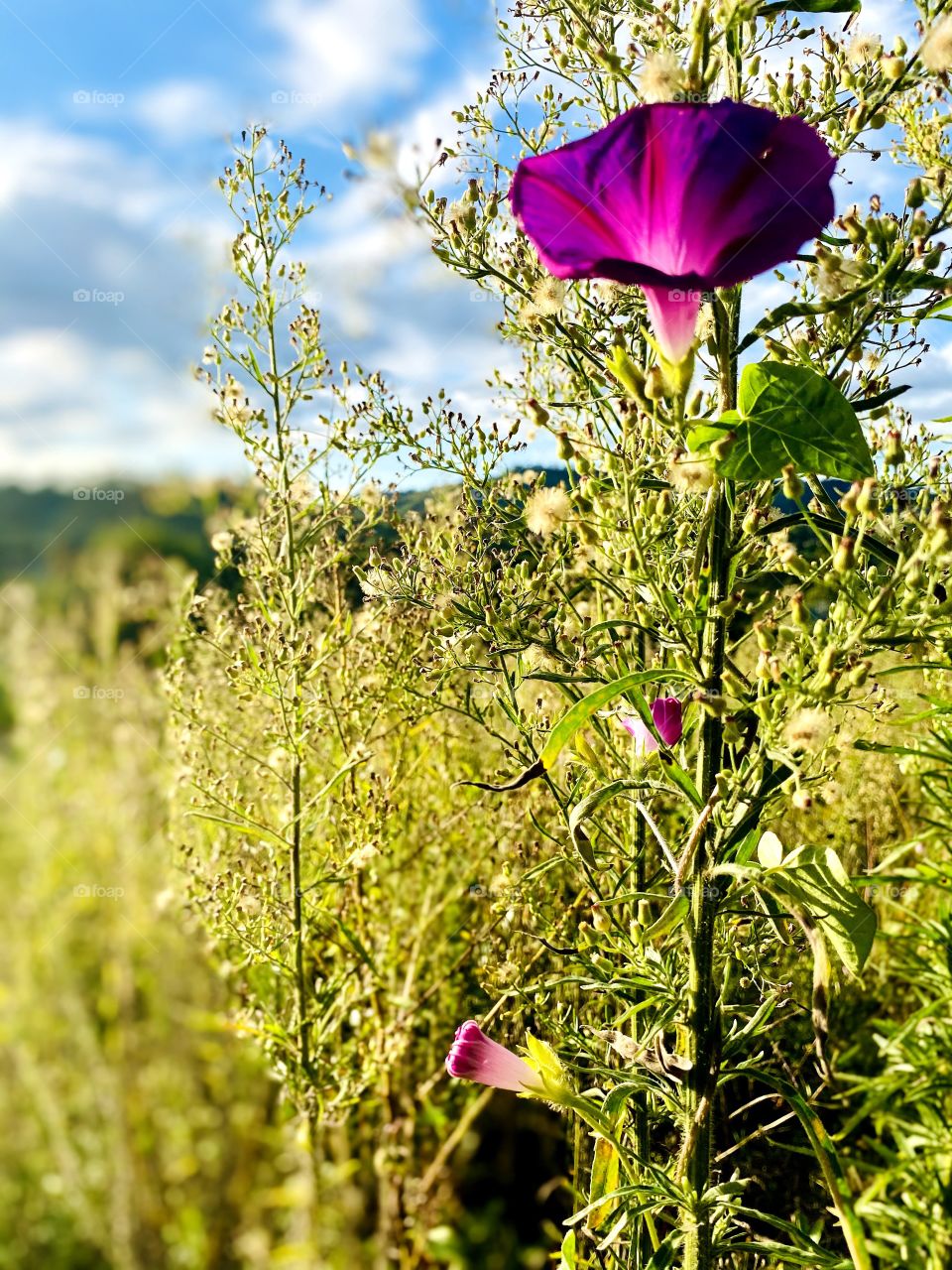 freedom when photographing