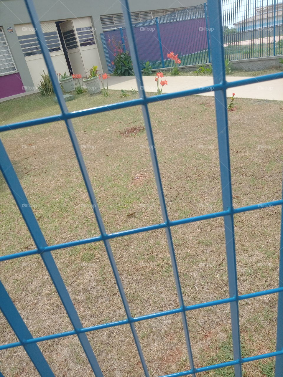 O Encanto das flores!