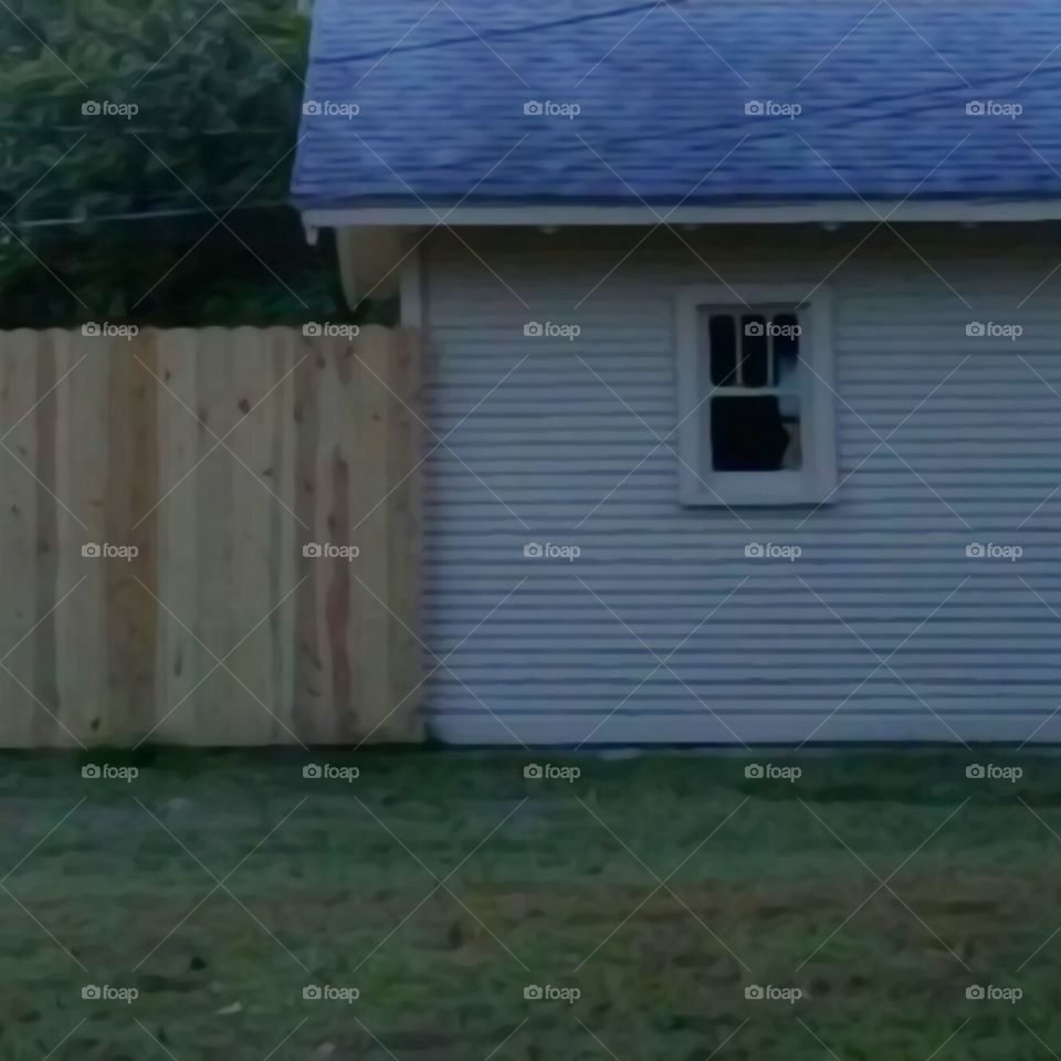 twilight composition 2