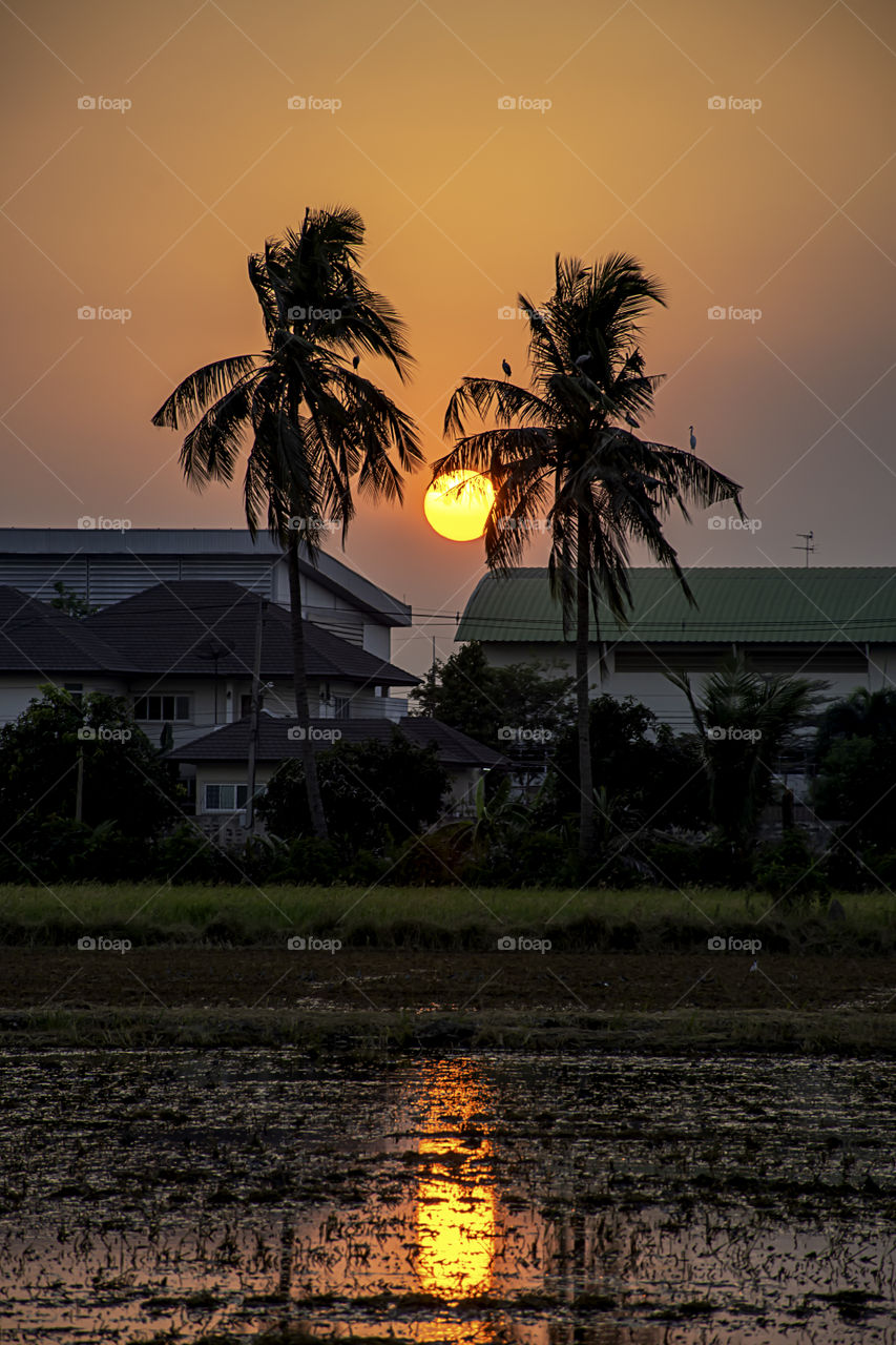 Beautiful light of Sunset with clouds in the sky reflection behind the building and trees.