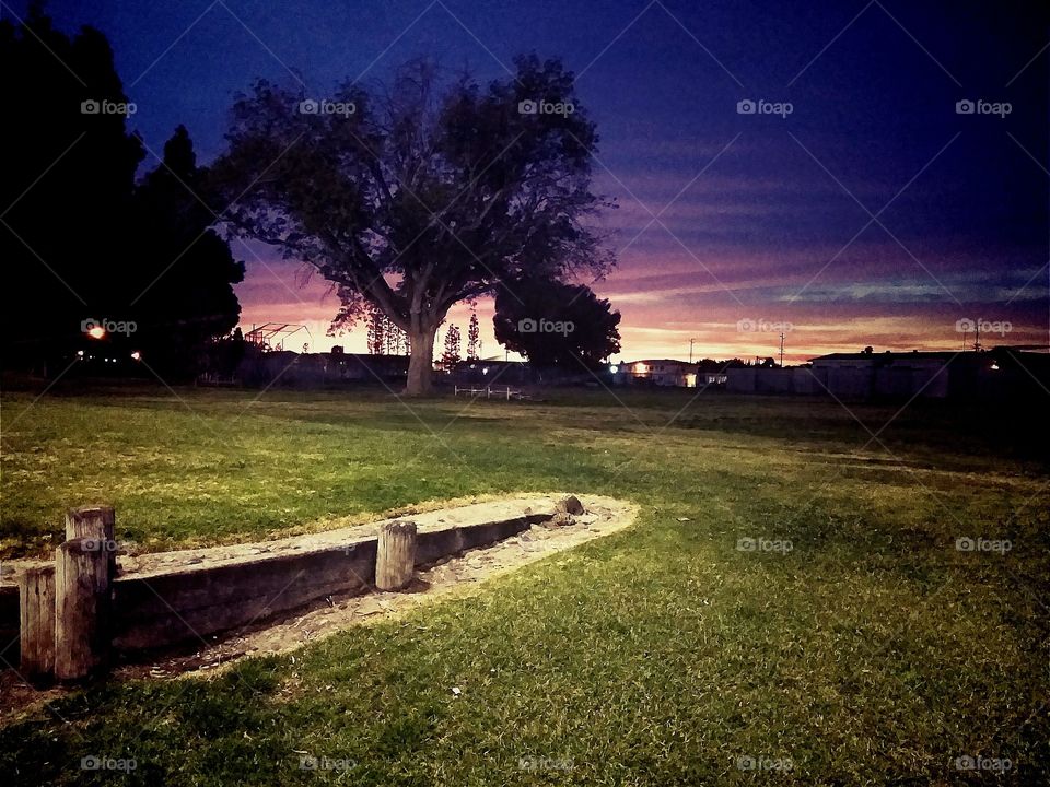 Tree, Landscape, No Person, Grass, Sky