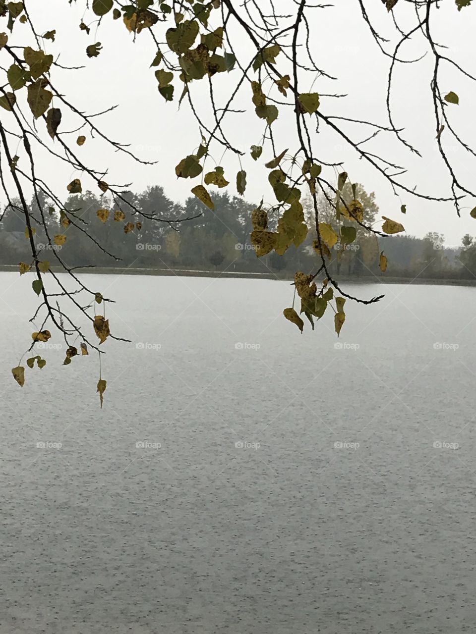 Rainy fall day in Michigan