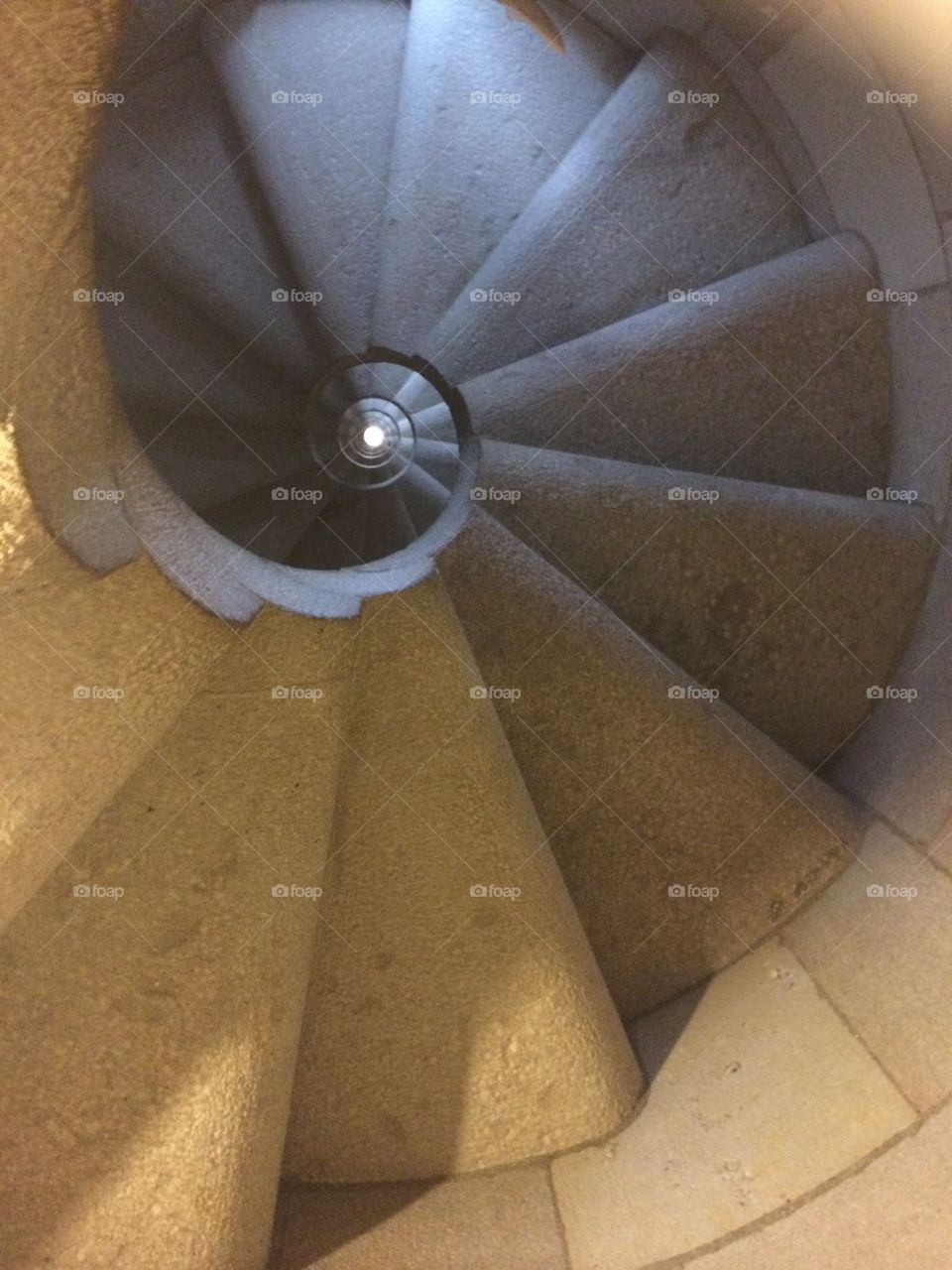 Shell. Stairwell in Gaudi's La Sagrada Familia