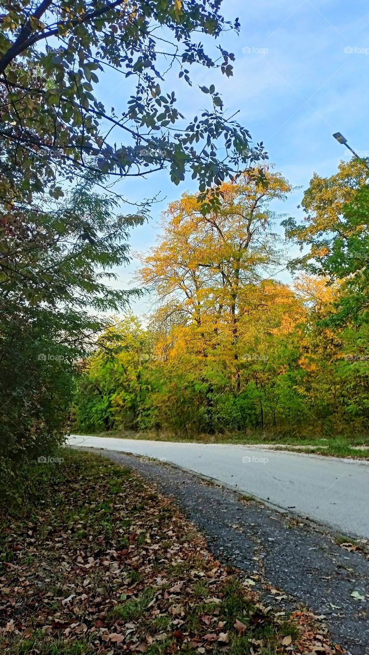 The landscape - nature