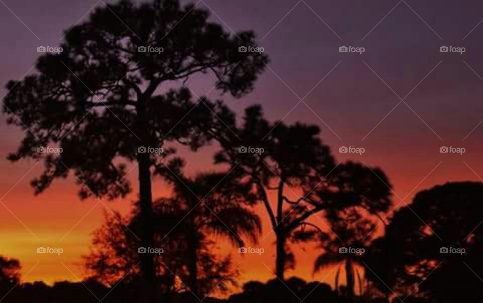sunset over Grove City Florida