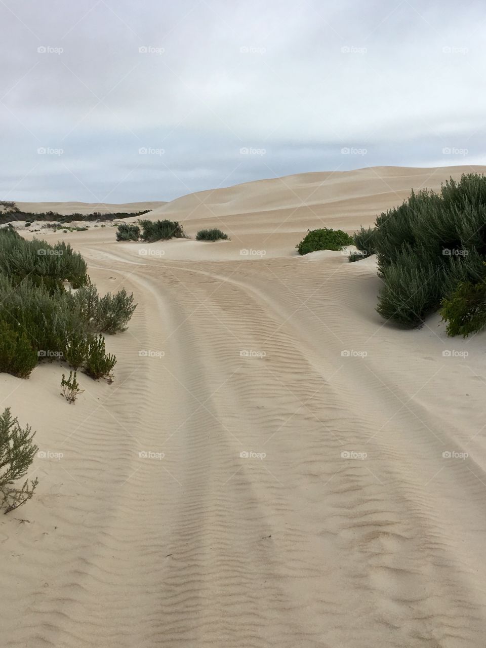 Sand dunes track