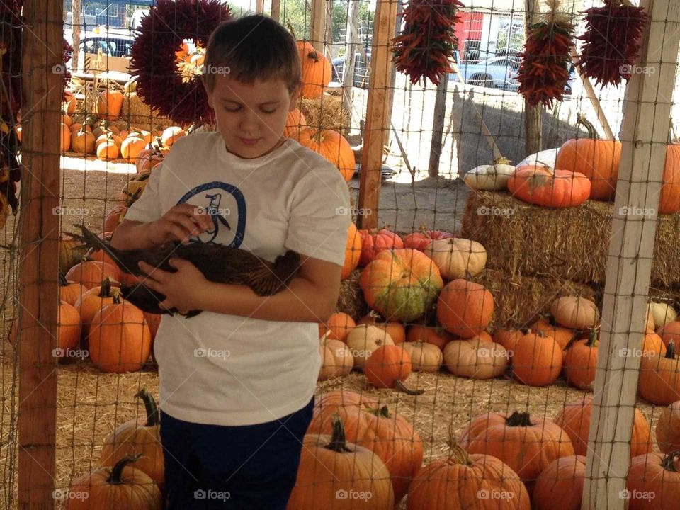 pumpkin festival