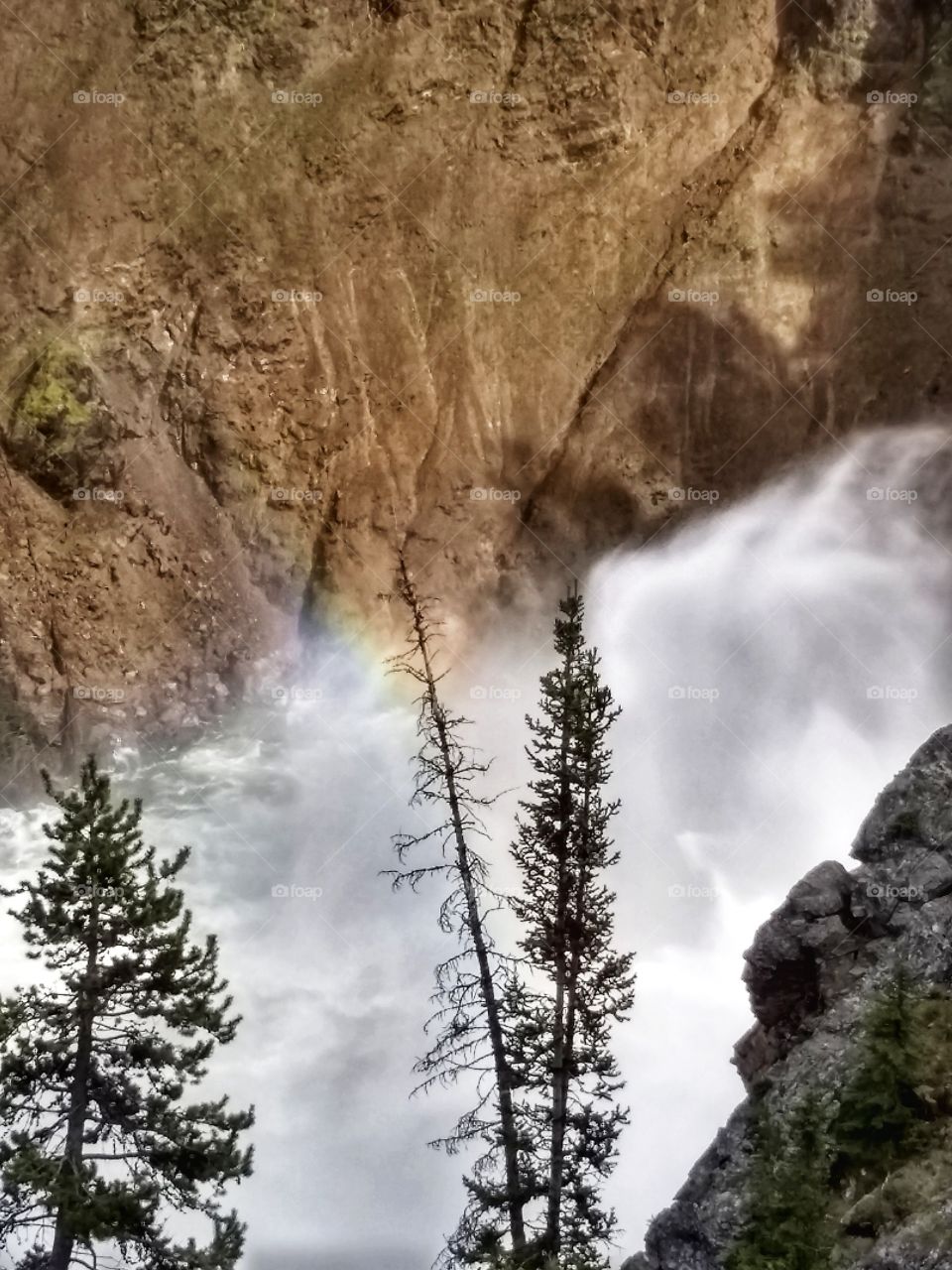 rainbow over Falls