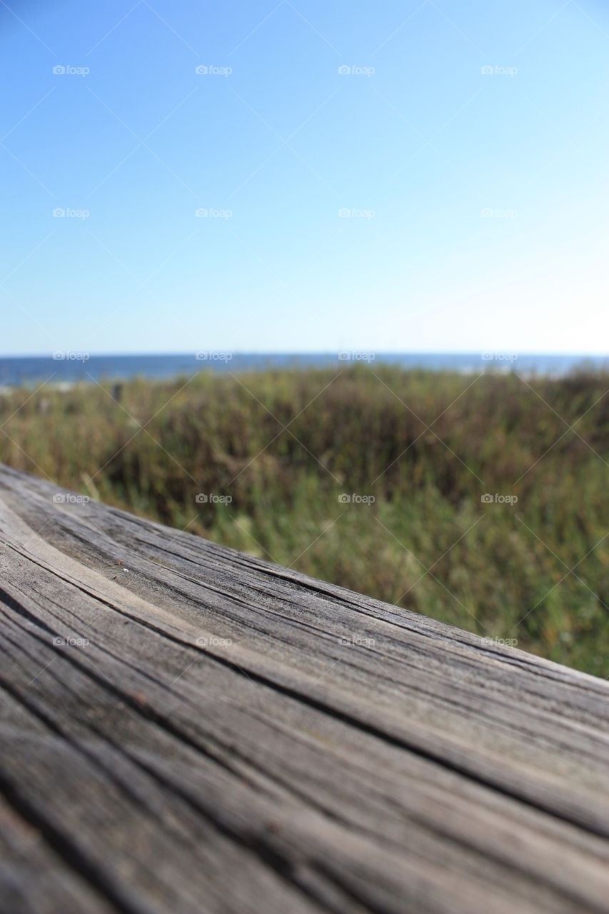 Spring at the beach