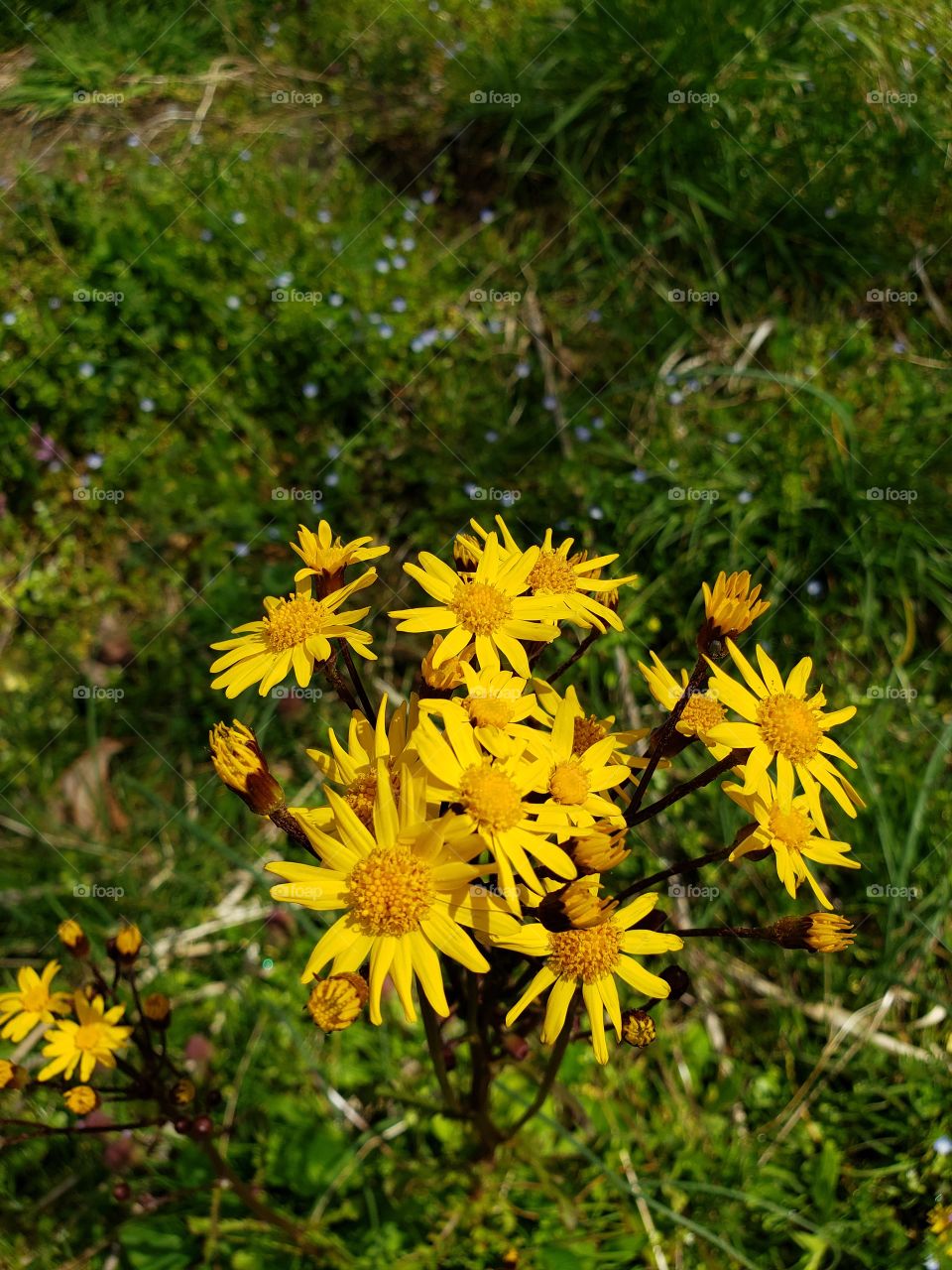 Beautiful spring day