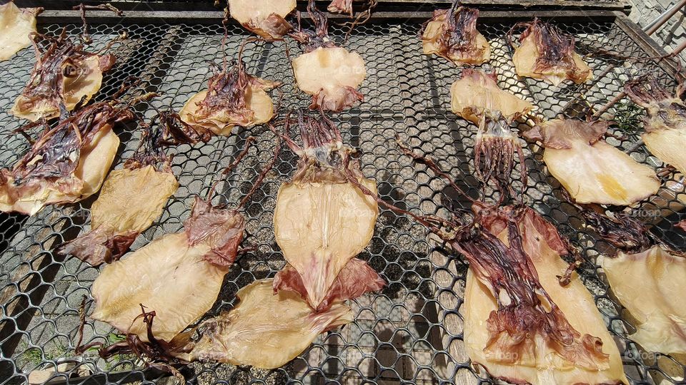 dried squid for cooking at street food