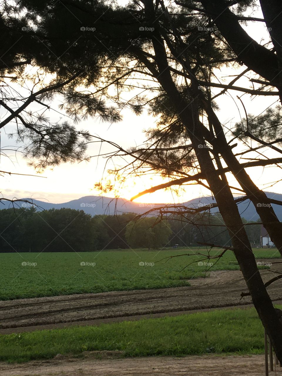 Sunset and mountains 