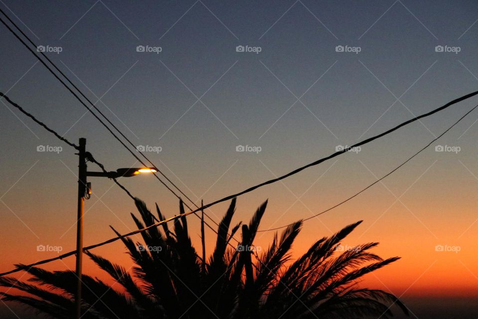 Close up of colorful sunset against palm tree and street lamp 