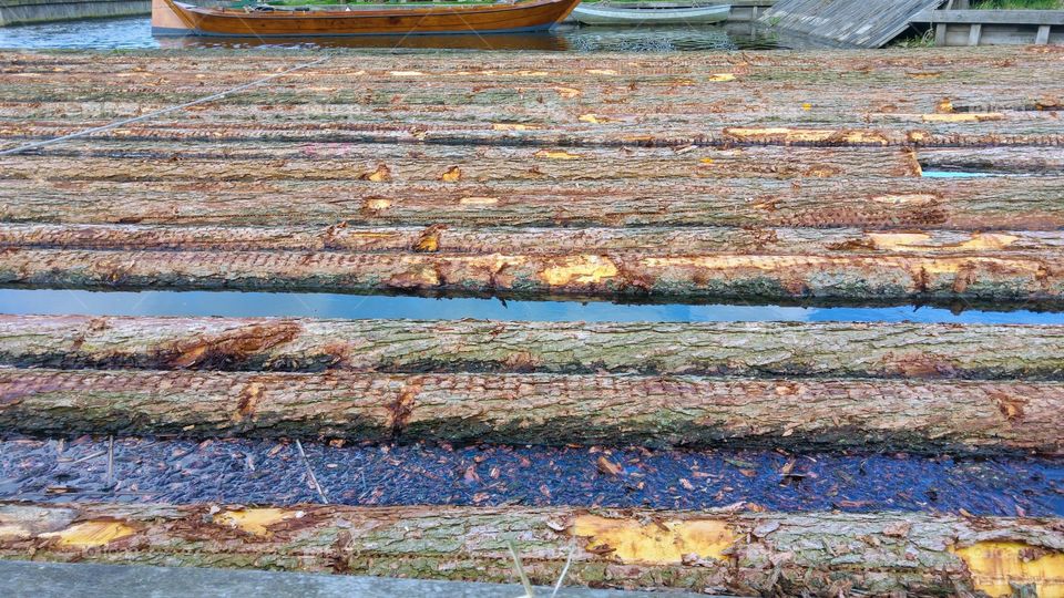 Row of tree trunks in the water by the wood saw mill