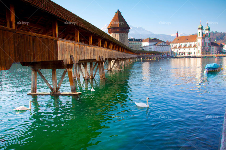 luzern switzerland nature travel lake by cmosphotos