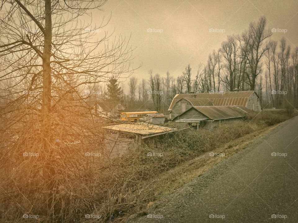 Farm along the Matsqui Flats