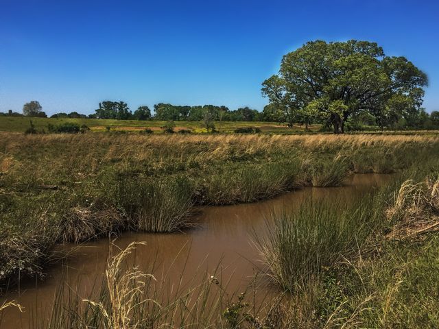Field and Stream