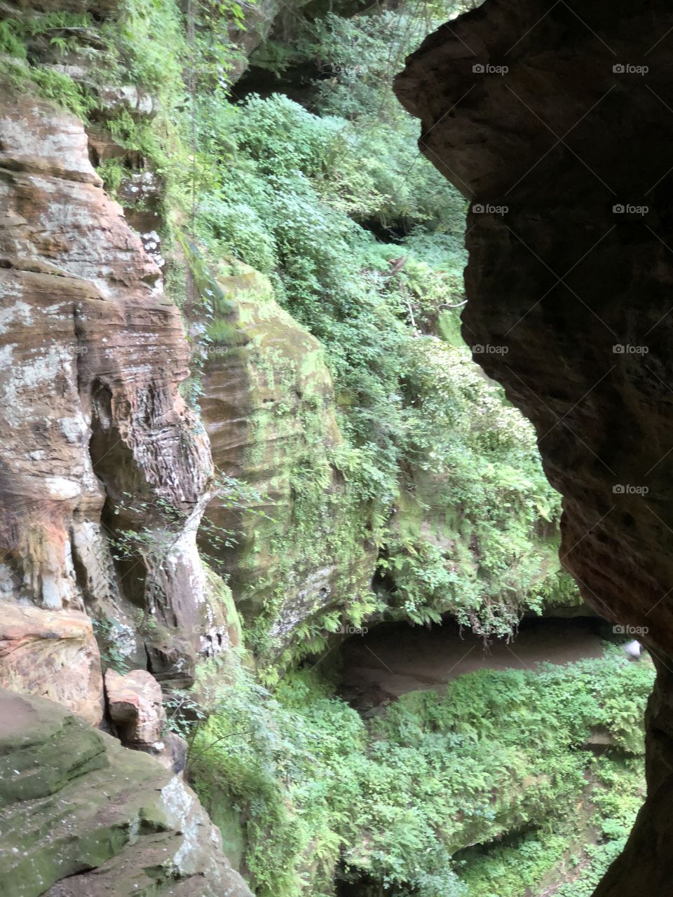 Looking out the caves window Hocking Hills 