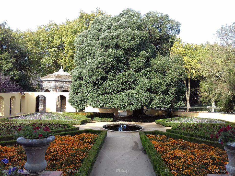 jardim do cerco Palácio de Mafra Portugal