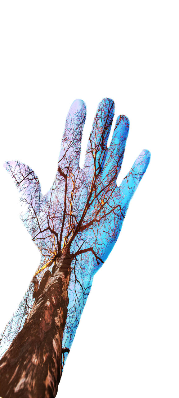 double exposure silhouette of a hand with a tree