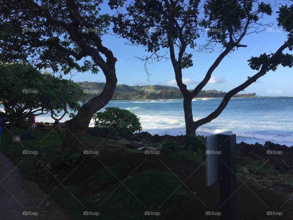 View from the shade, surfing area next to Turtle Bay Resort.