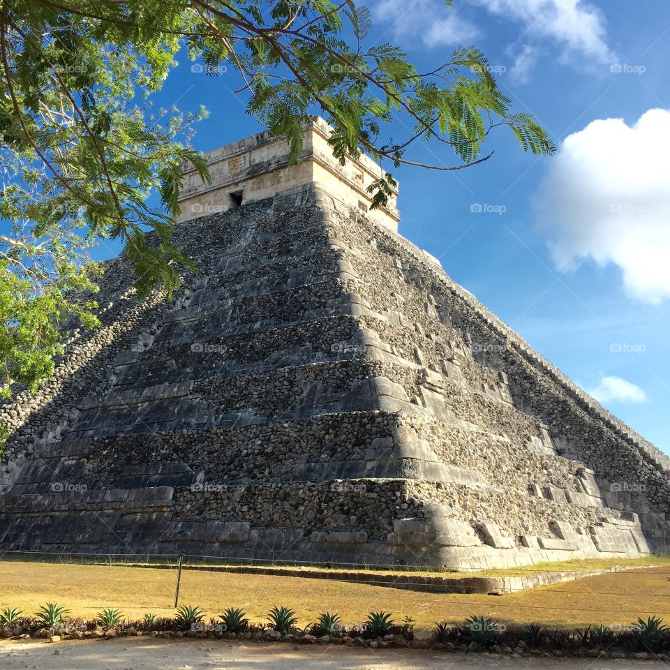 Pyramid in the trees 