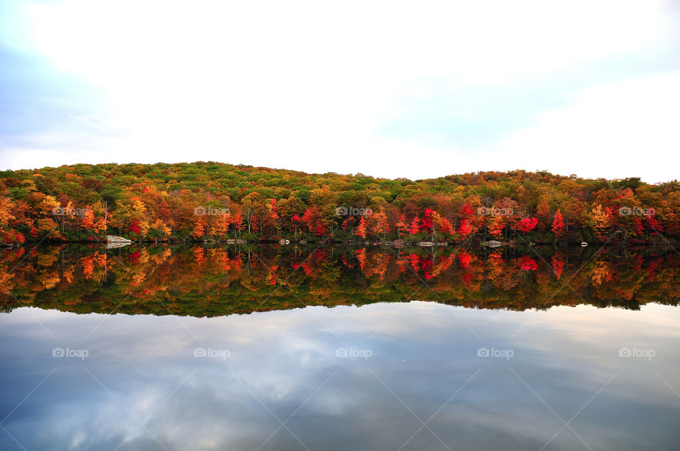 leaves lake autumn colorful by delvec