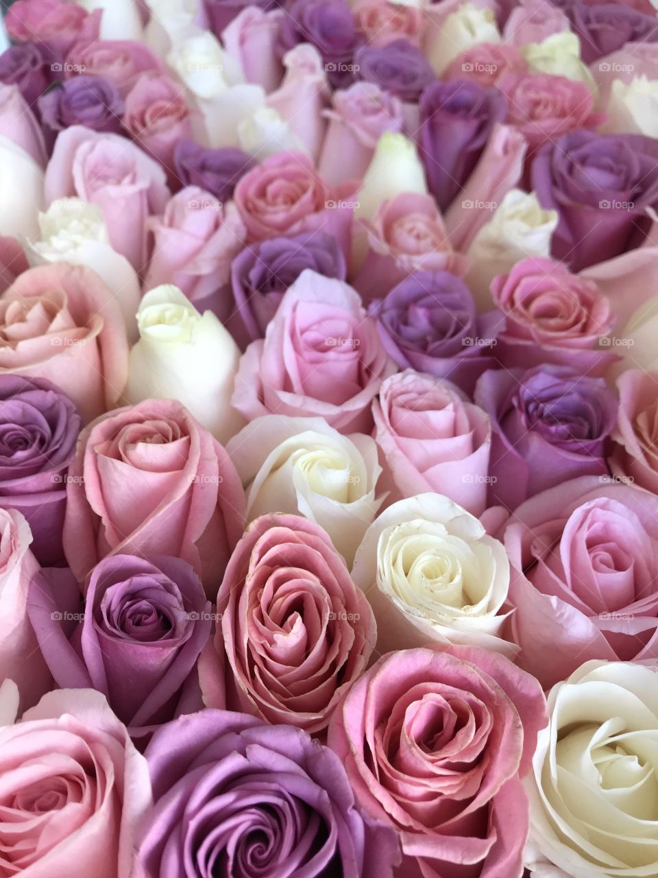 Bouquet de rosas con colores románticos o de ternura