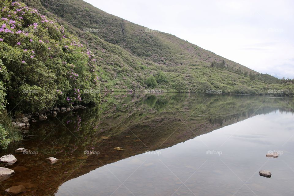 a small lake in the mountains 