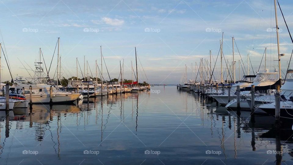still harbor at sunset with lots of sailboats