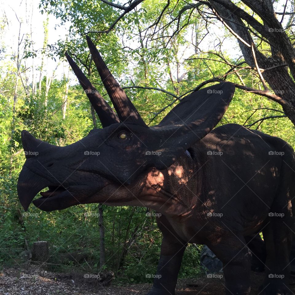 Torosaurus dinosaur statue King's Island, Ohio