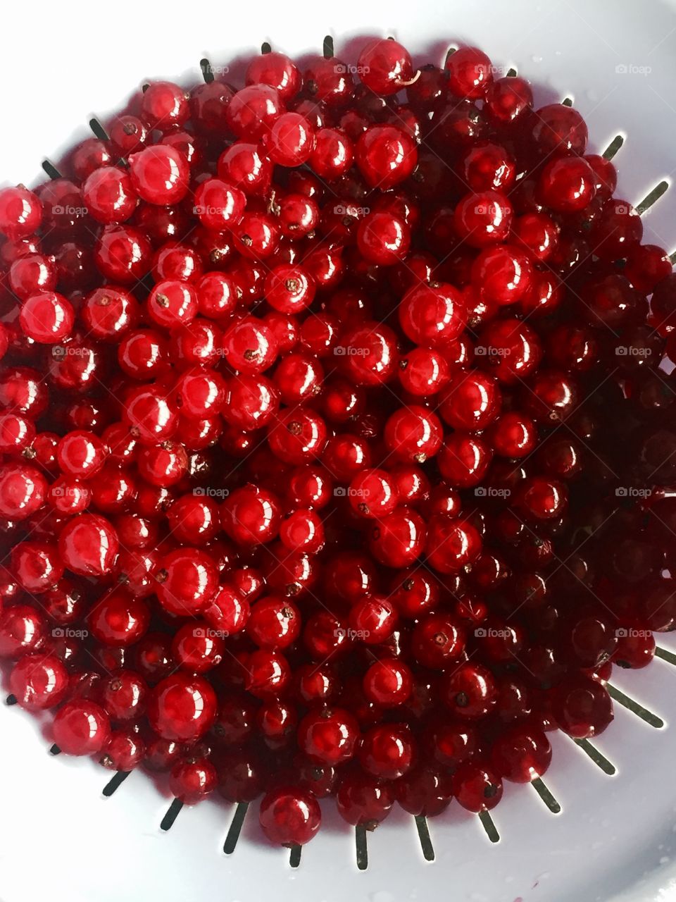 Red currants 