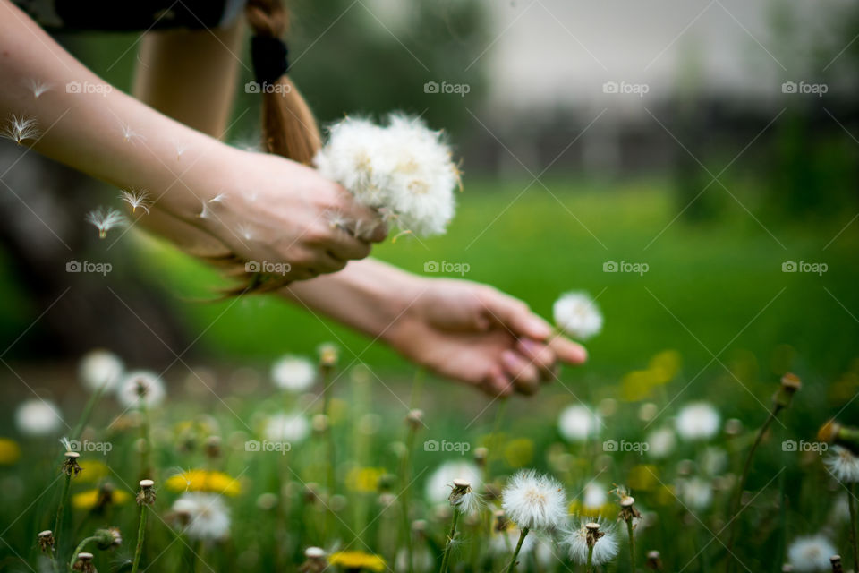 Spring dandelion bouquet