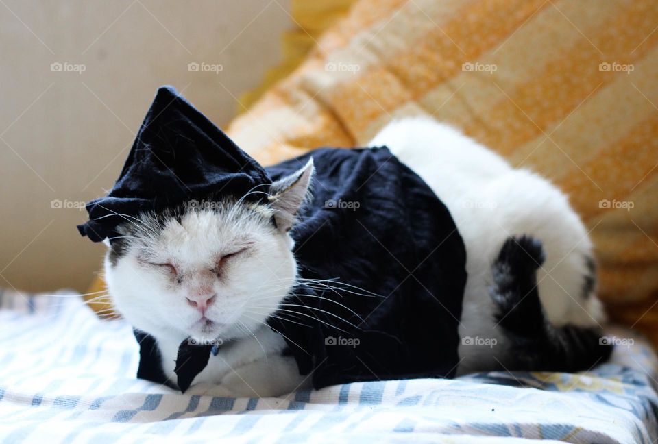 Happy Halloween 🎃👻