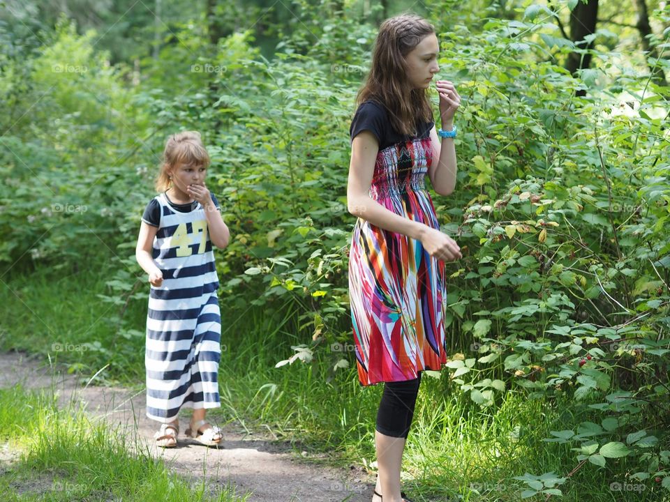 Picking raspberries. Two girls in a park picking and eating raspberries