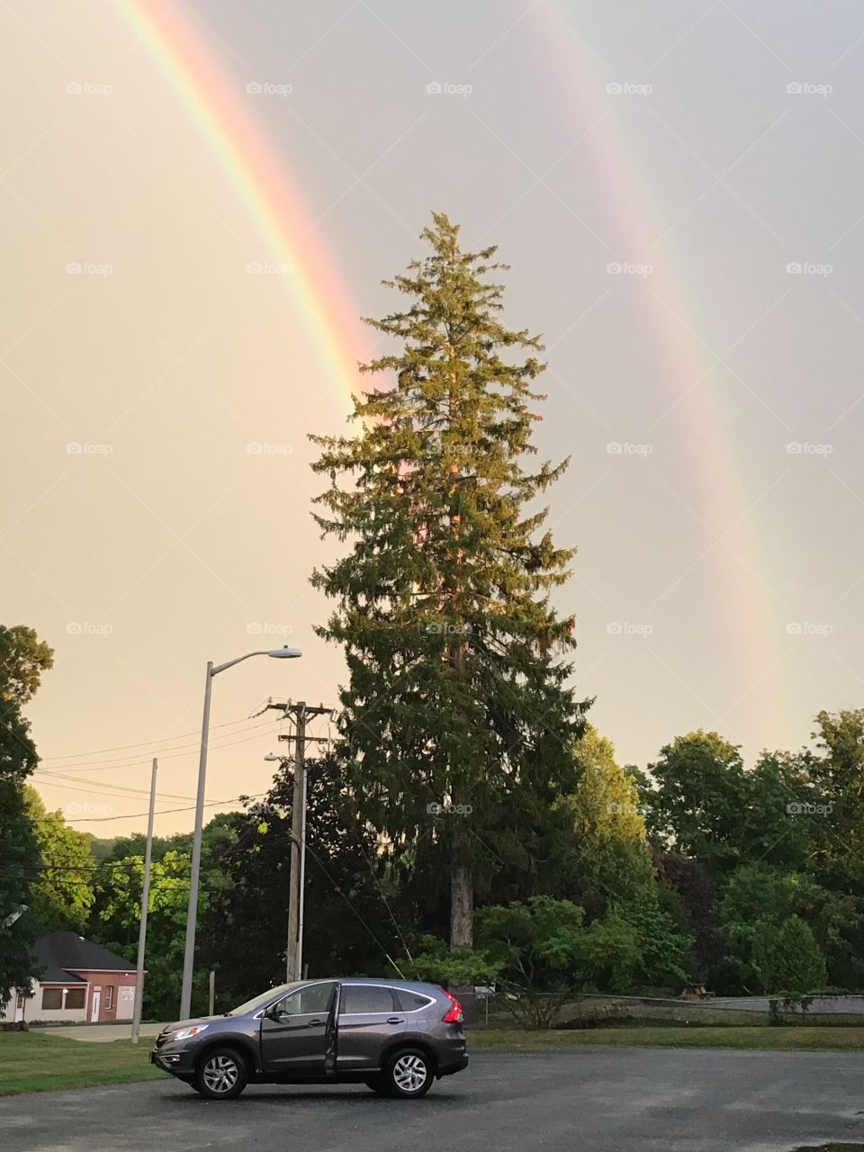 Tree, car, and rainbow