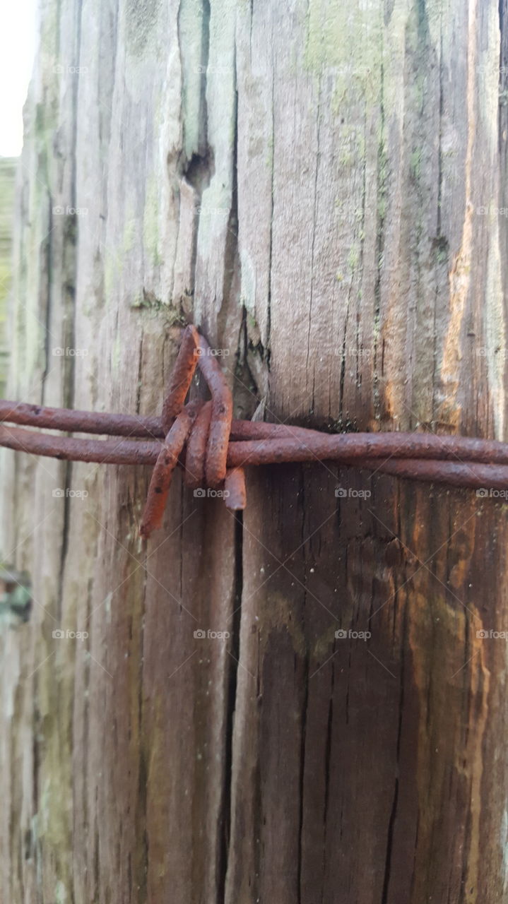 barbed wire