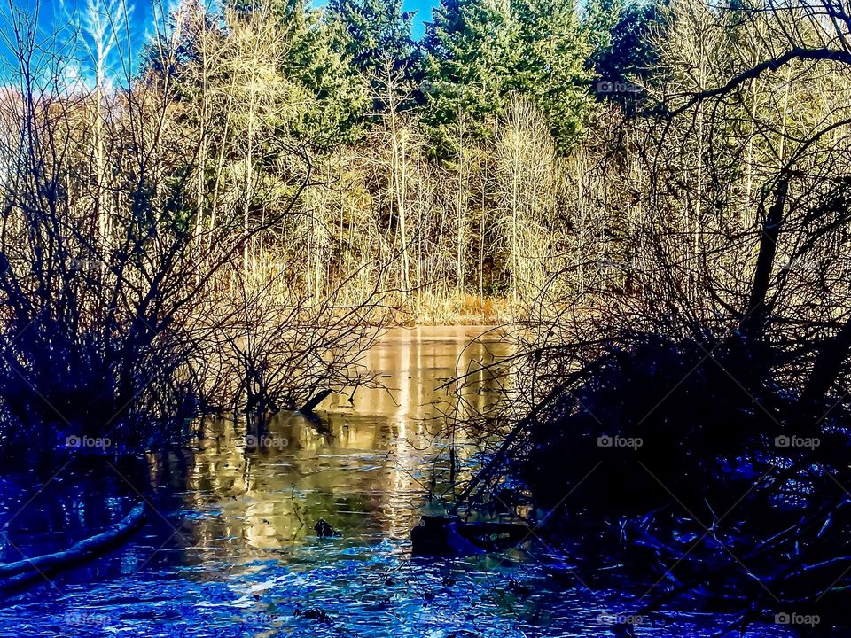 Crisp Winter Reflection