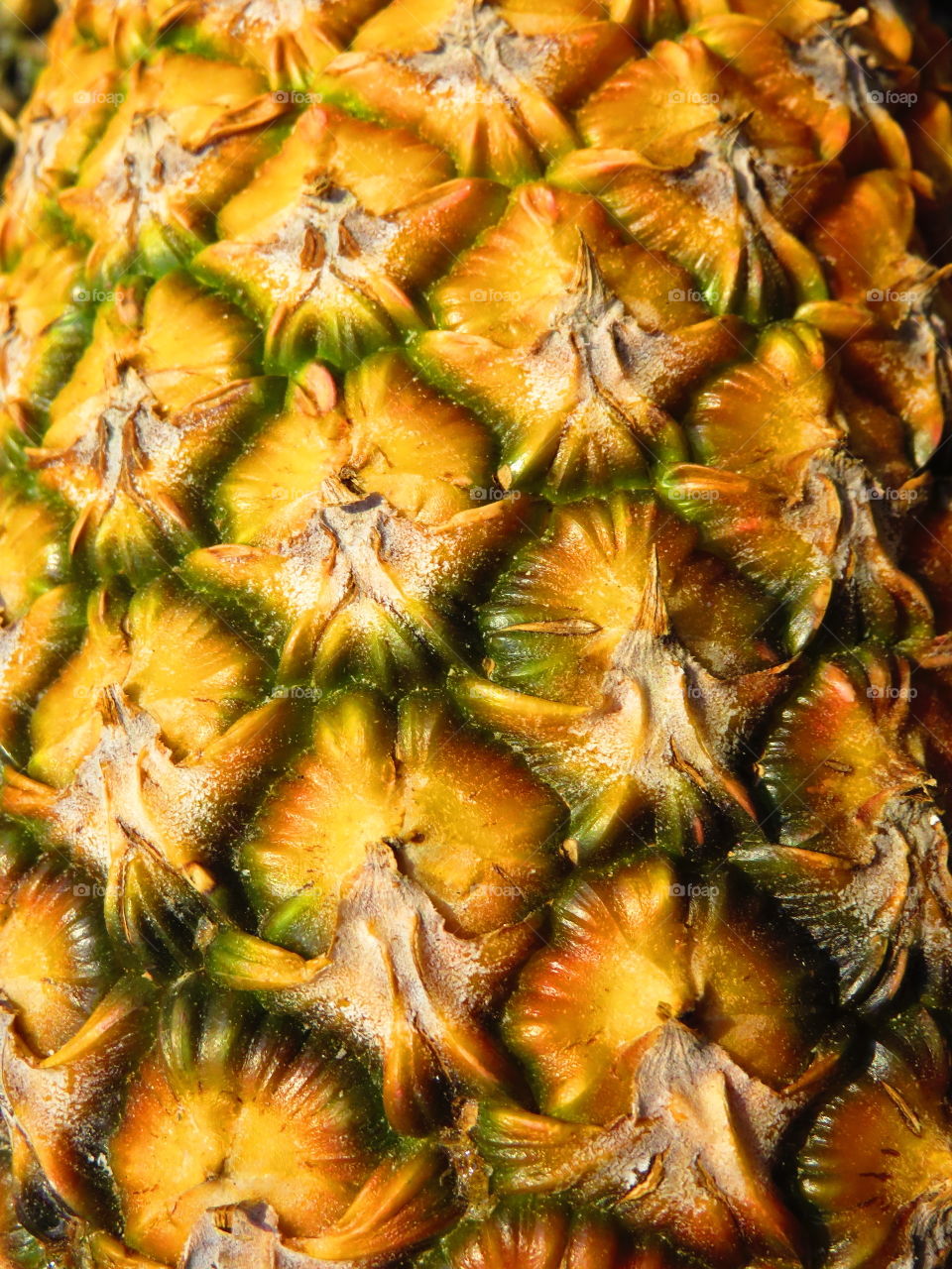 Extreme close-up of pineapple