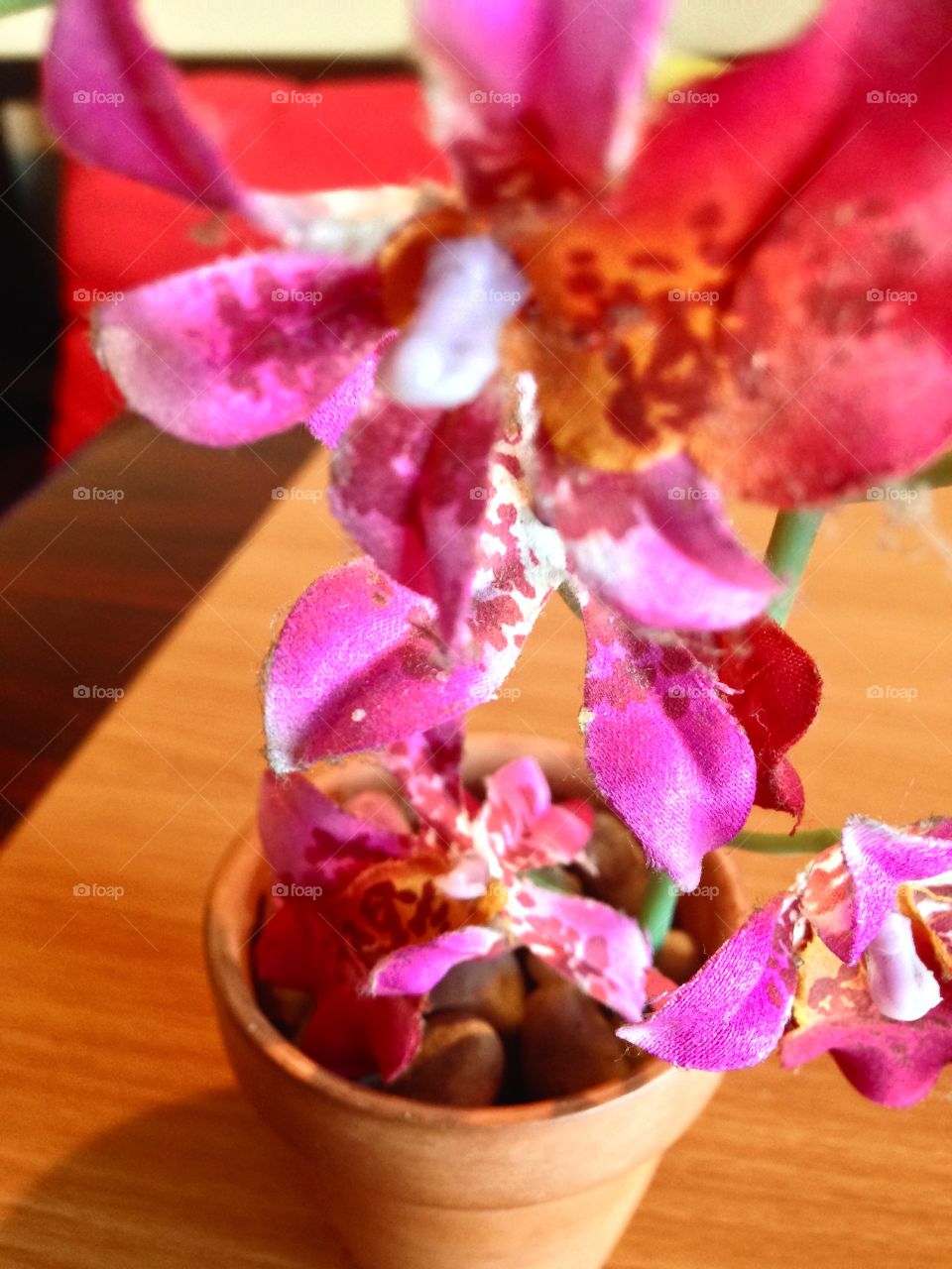 Central Red

Published by:
HappyBrownMonkey 