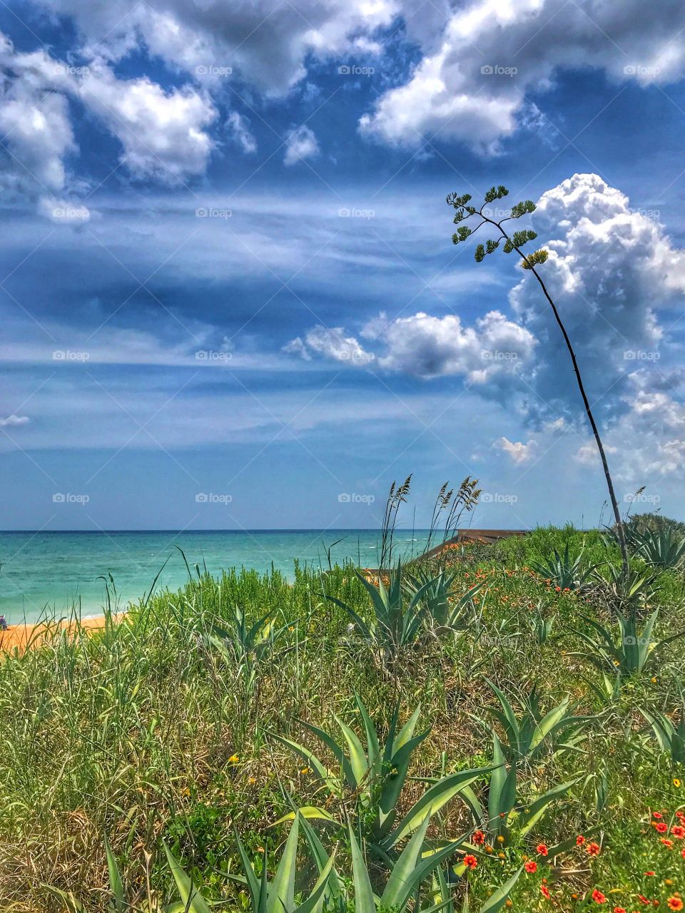 Scenic beach scene