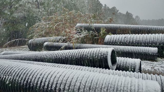 winter in the South