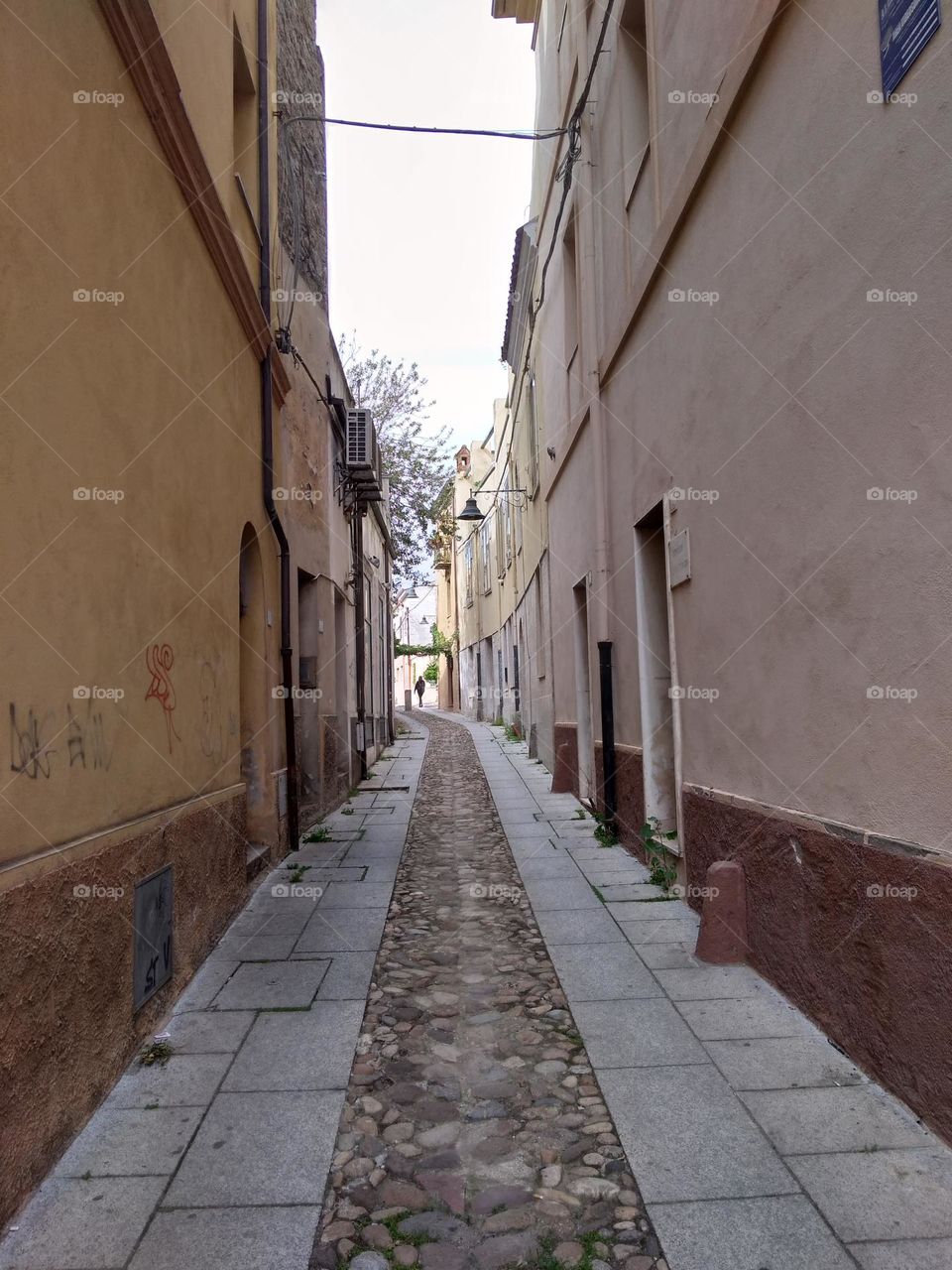 Editors' Choice: Photo of the Week