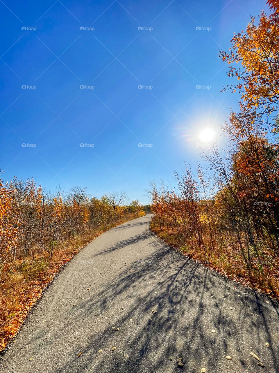 Sunny autumn day