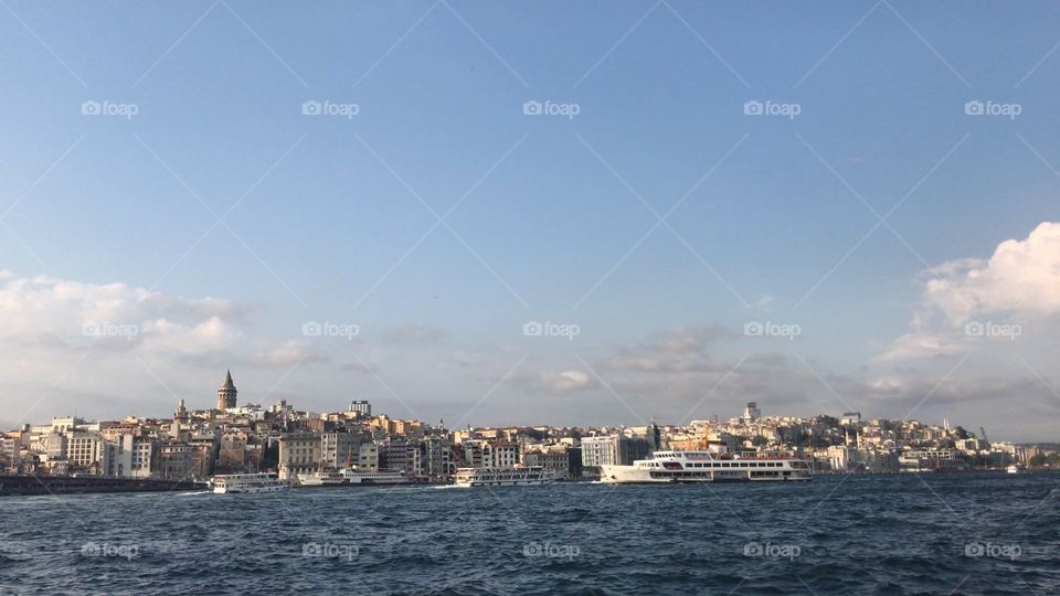 Istanbul city sea gull, Turkey. Boat and Mediterranean seagull. City view.
