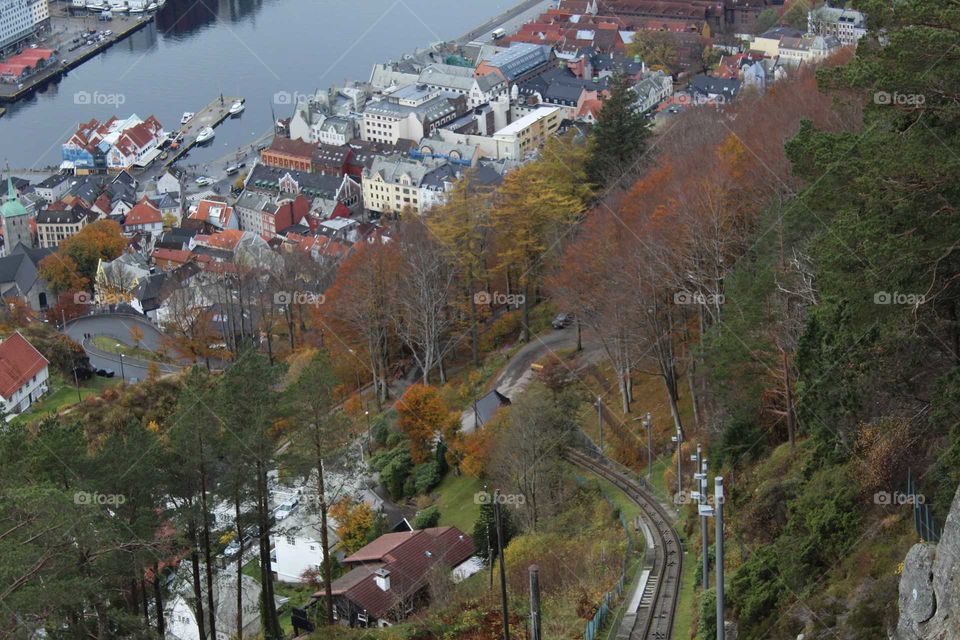 Town of Bergen