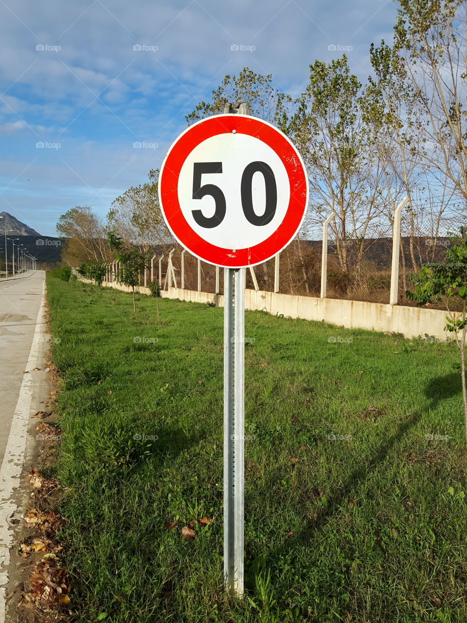 road 50