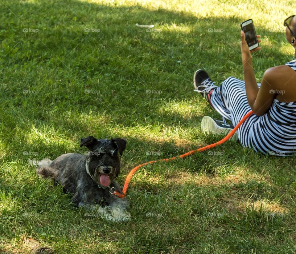 Pets at the park 