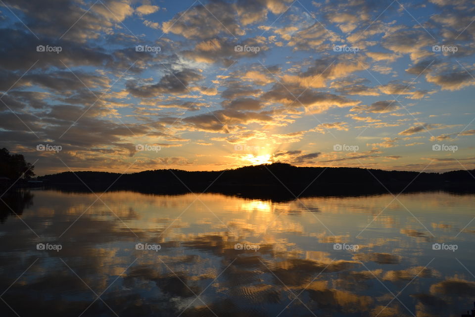 Silhouette of trees in the lake